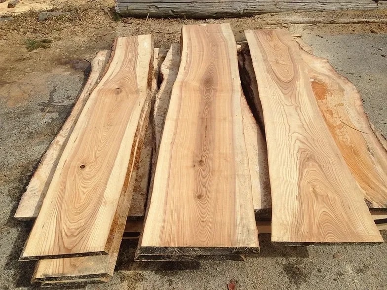 Why is European oak the best type of oak