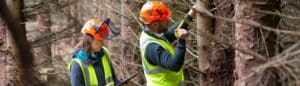 Two individuals wearing orange helmets and high-visibility vests are in a forest. One person is holding a measuring tape against a tree trunk, while the other is holding a clipboard and looking at the tree. They appear to be conducting some form of forestry work or tree inspection.